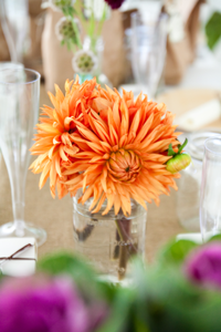 Splendid Stems Wedding Flowers - Turnquist Photography